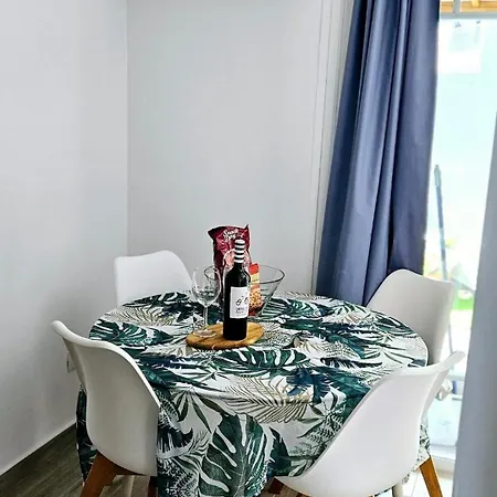 Modern Bohotropical With Terrace