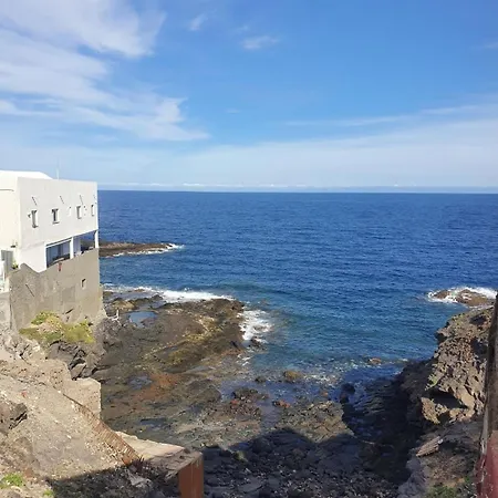 Modern Bohotropical With Terrace *