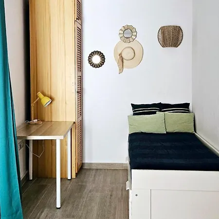 Modern Bohotropical With Terrace