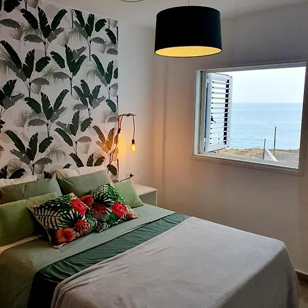 Apartment Modern Bohotropical With Terrace *